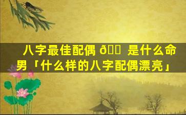 八字最佳配偶 🐠 是什么命男「什么样的八字配偶漂亮」